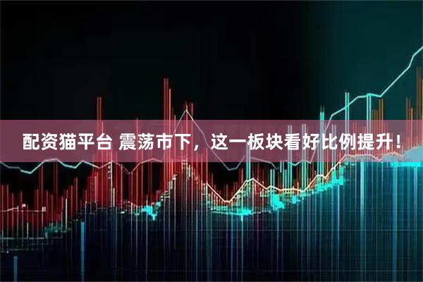 配资猫平台 震荡市下，这一板块看好比例提升！