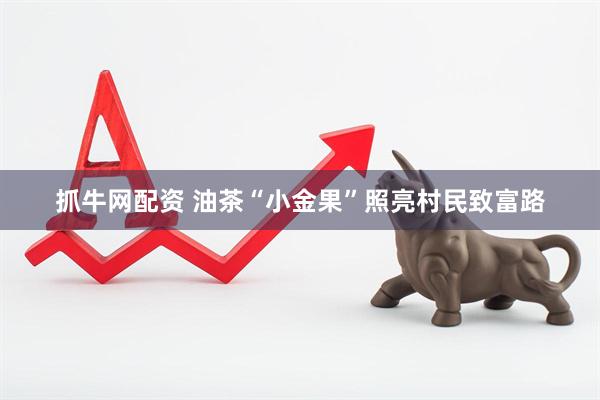 抓牛网配资 油茶“小金果”照亮村民致富路