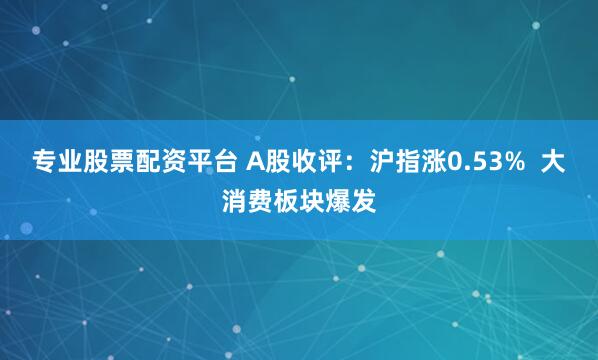 专业股票配资平台 A股收评：沪指涨0.53%  大消费板块爆发